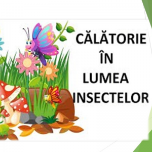 În nici una dintre lucrările sale Natura nu şi-a arătat originalitatea mai mult decât în cazul insectelor