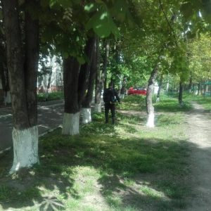 Procesul de salubrizare în Instituția de Educație Timpurie nr.149