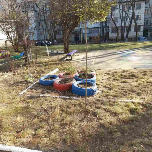 Procesul de salubrizare și amenajare a terenurilor aferen/adiacent al IET nr.149, str.M.Sadoveanu, 4/4