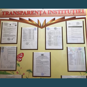 TRANSPARENȚA PROCESULUI DECIZIONAL ÎN IET nr.149