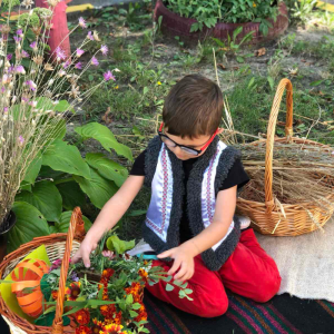 MÂNDRE FLORI DE SÂNZIENE