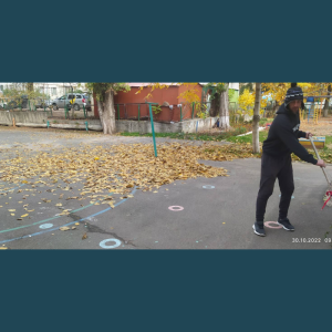 SALUBRIZAREA DE TOAMNĂ